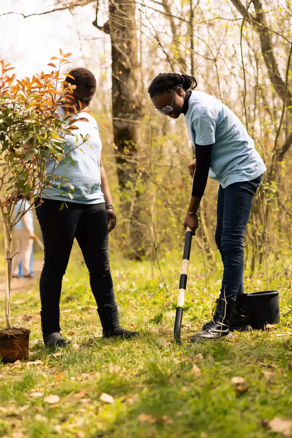 Green Initiative Sets 100,000+ GPS-Tagged Tree Target